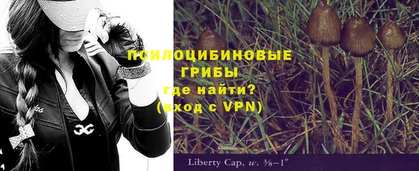 ALPHA PVP Няндома